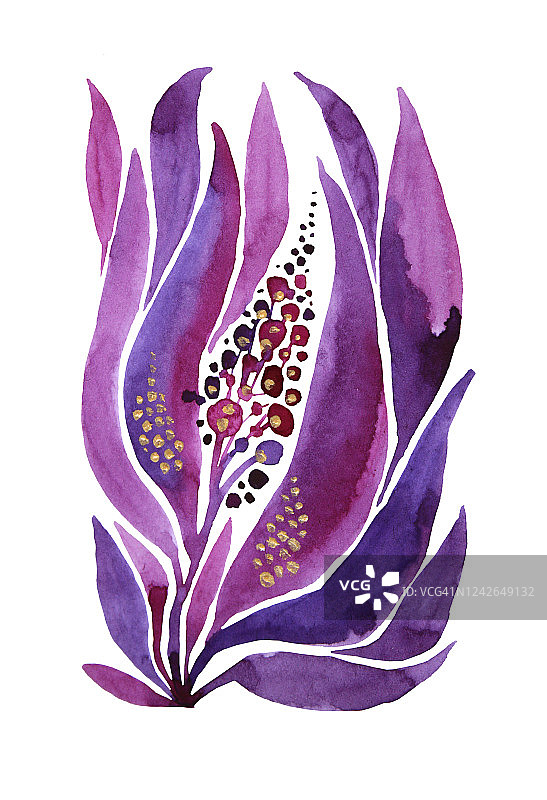 水彩手绘紫色的草，紫罗兰花和浆果叶子孤立在白色的背景。分科艺术创作的自然对象为卡片，贴纸，墙纸，纺织品或包装图片素材