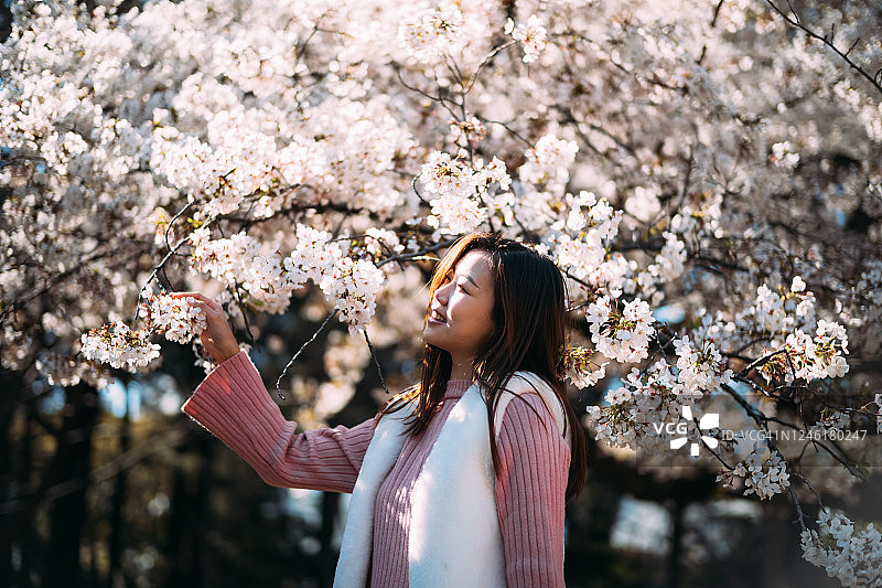 美丽快乐的年轻女子在樱花园享受春天图片素材