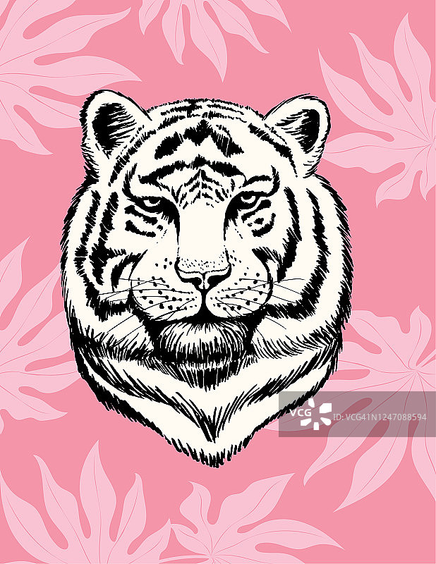 粉红色的老虎和热带树叶在彩色的背景图片素材