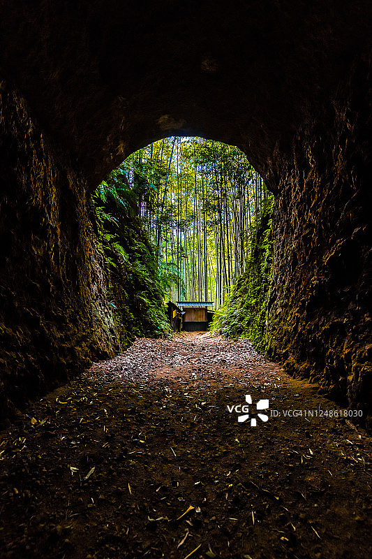 通往竹林的隧道。图片素材