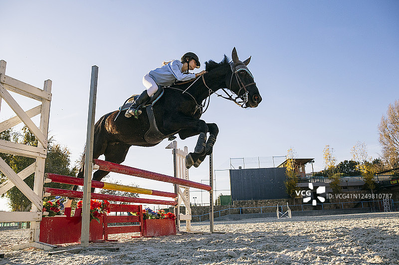 在晴朗的天空下，骑师骑着马越过训练场的栏架的低角度视图图片素材