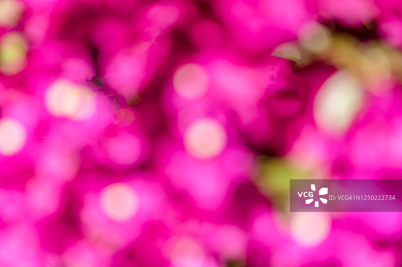粉色花朵的抽象形象图片素材