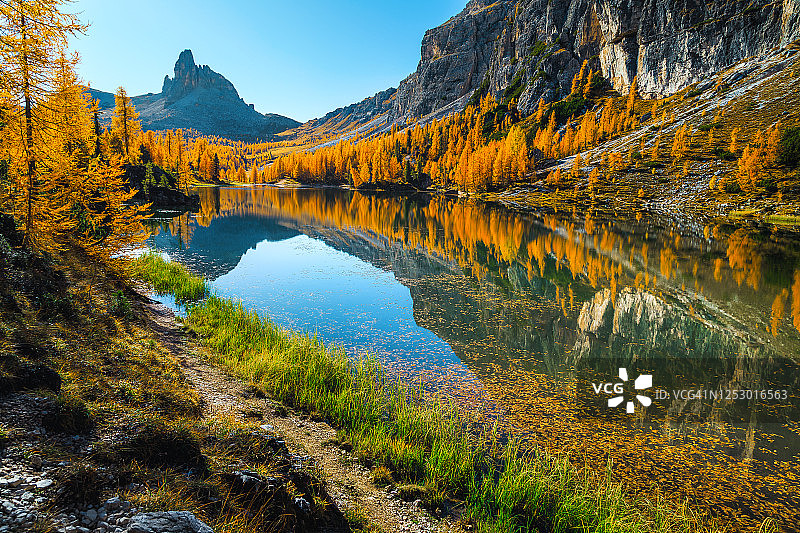 意大利的费德拉湖，秋天的森林里有红杉图片素材