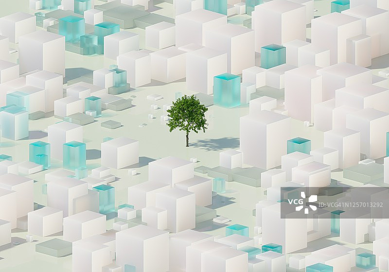 城市的树图片素材
