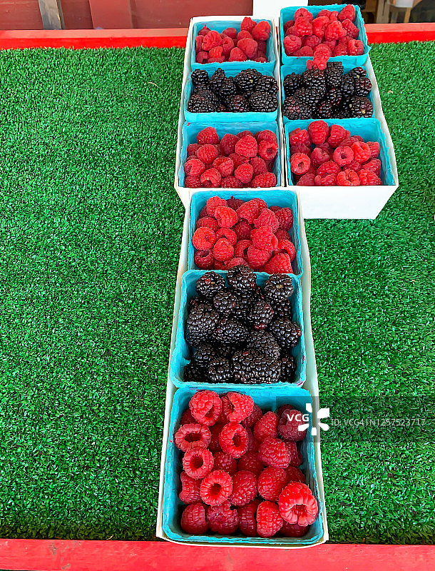 新鲜的树莓和黑莓图片素材