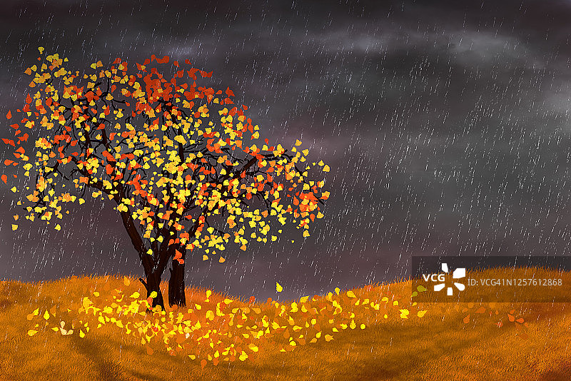秋天的树和雨图片素材