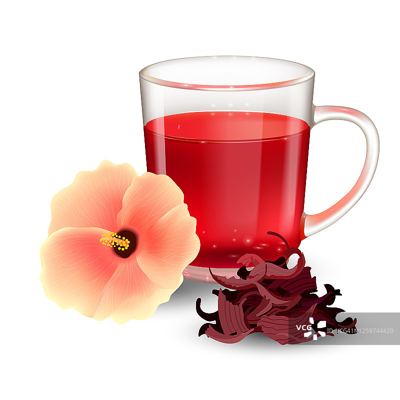 木槿茶在一个玻璃杯和花孤立在一个白色的背景。干玫瑰花苞茶。现实的矢量图。图片素材