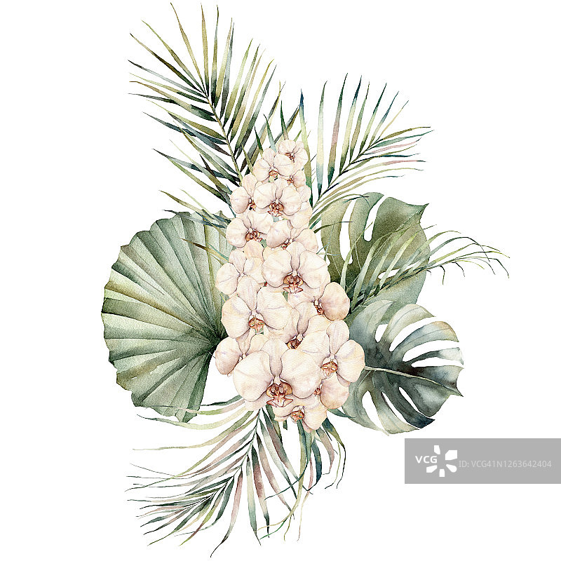 水彩花束桃兰，怪兽和椰子叶。手绘热带卡片与花孤立在白色的背景。花插图设计，打印或背景。图片素材