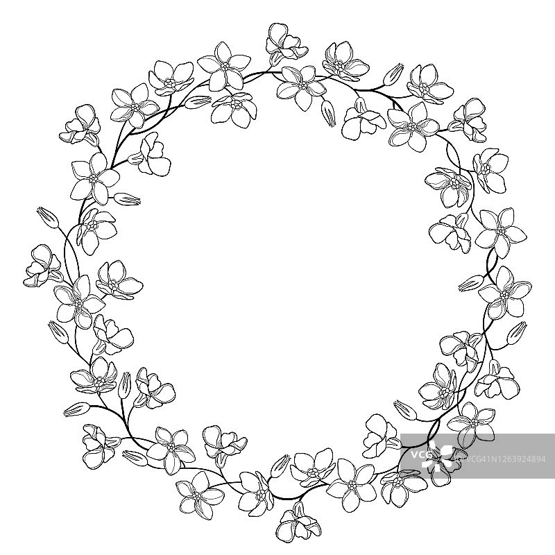 向量圆花环与轮廓勿忘我或肌束花，茎和芽在黑色孤立在白色背景。图片素材