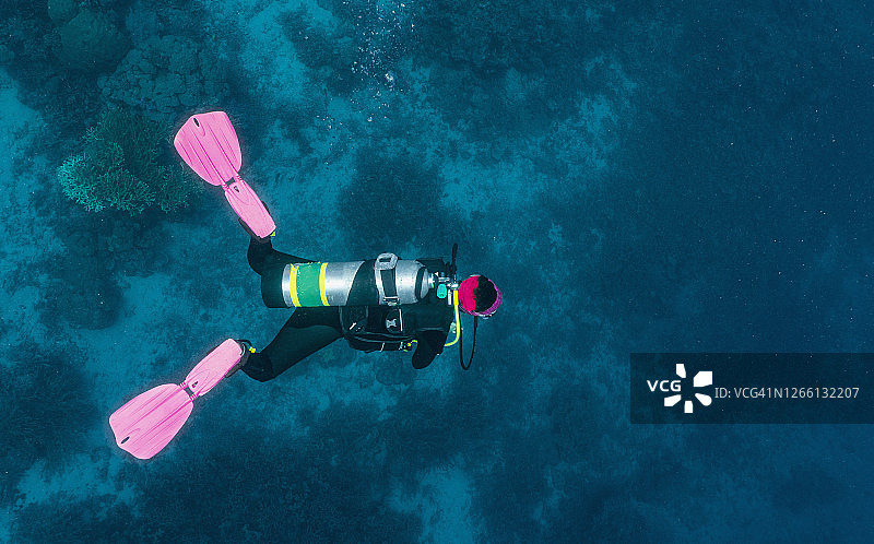 探索大堡礁的潜水员图片素材