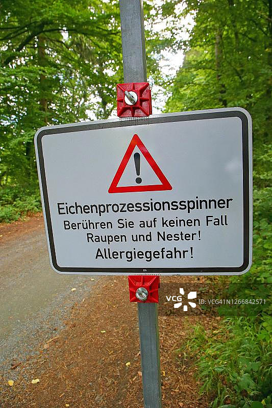 德国黑塞，森林道路上的警告标志警告橡树蛀虫图片素材