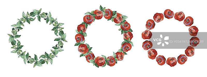 三个圆形框架的红番茄和绿色罗勒，孤立在白色。水彩插图。图片素材