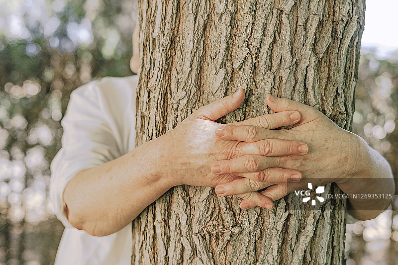 院子里，老女人的双手拥抱着树干图片素材