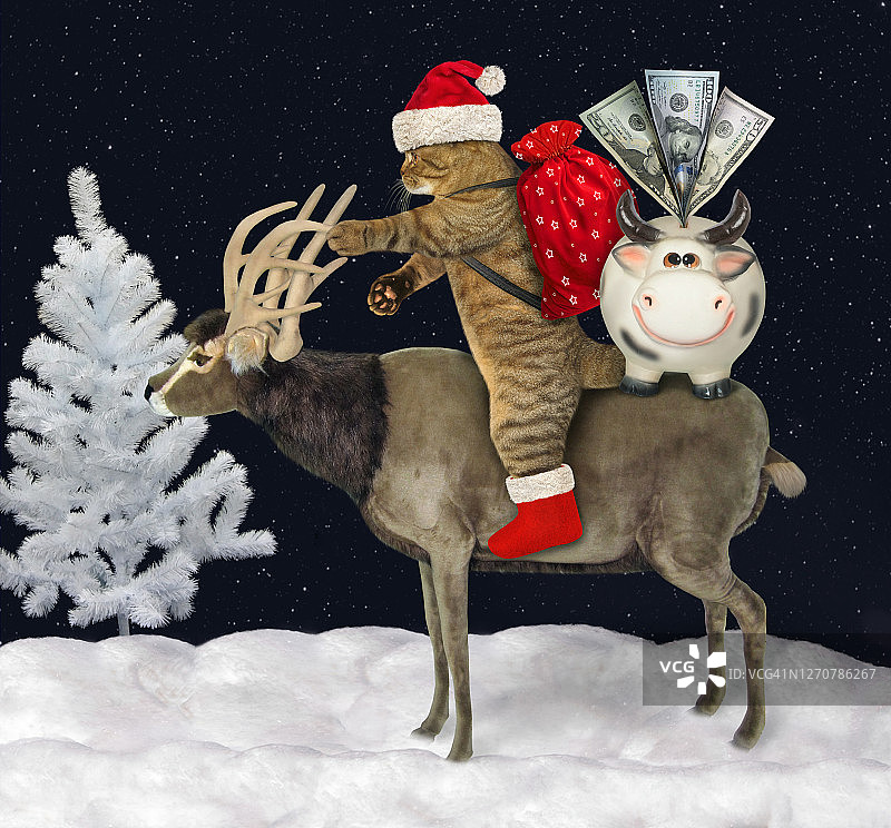 带着礼物的圣诞猫骑着驯鹿图片素材