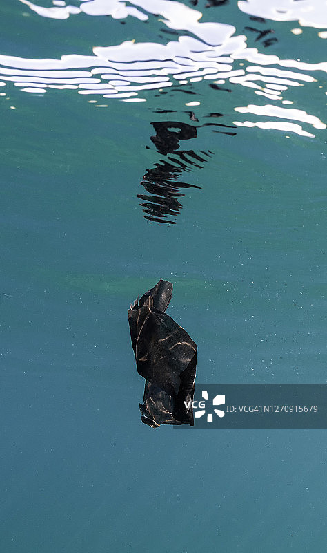 阿根廷瓦尔德斯半岛新海湾南露脊鲸的皮肤。图片素材