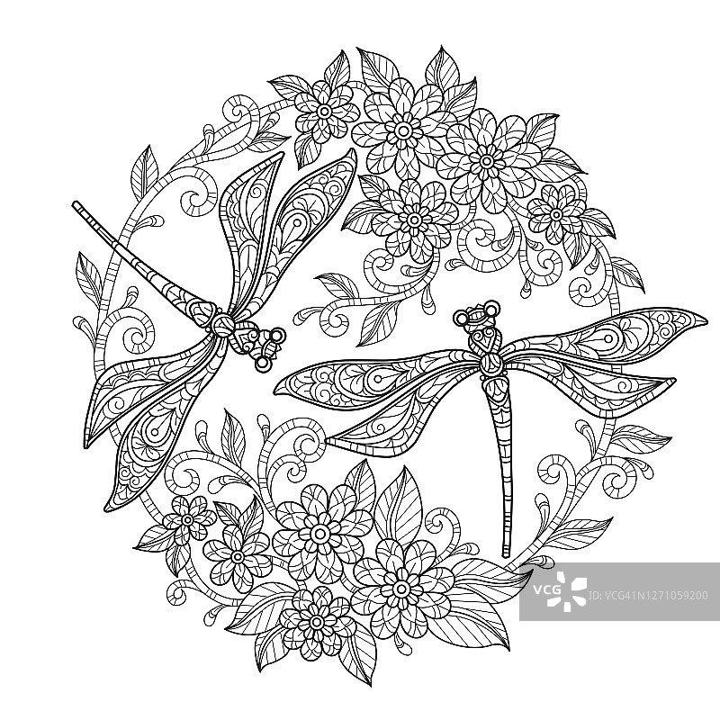 蜻蜓在花卉花园的成人着色页，插图风格。图片素材