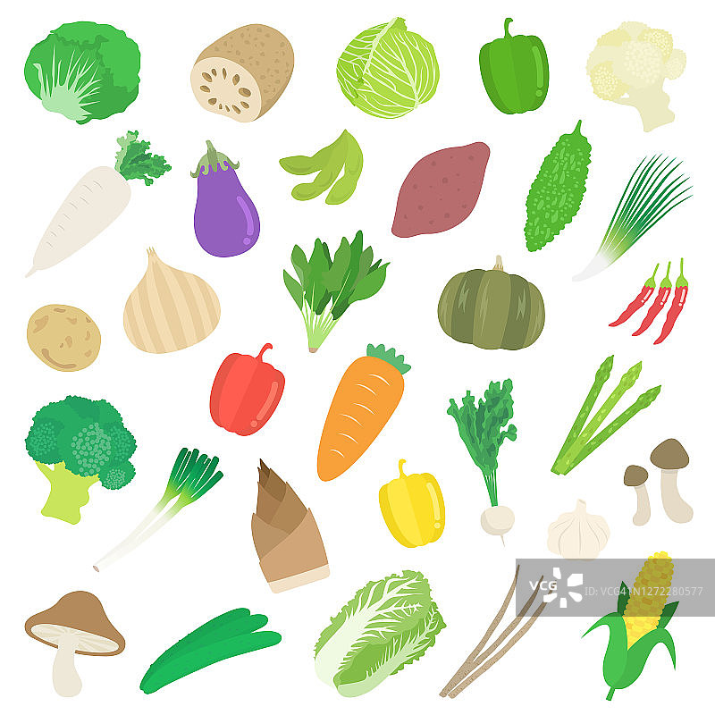 蔬菜插图集图片素材