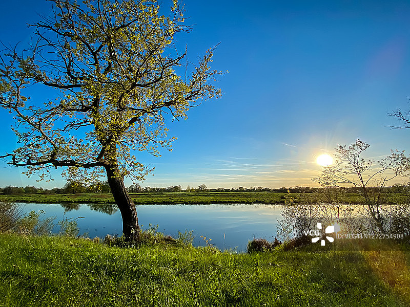 自然池塘与树木在春天日落在俄罗斯中部，弗拉基米尔地区图片素材