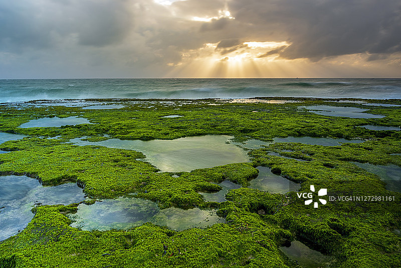碧绿的苔藓区在海面上与美丽的日出图片素材