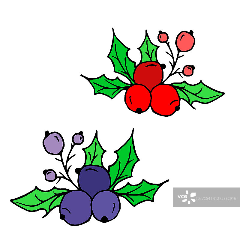 矢量插图的绿色冬青植物与红色，蓝色浆果孤立在白色的背景。圣诞节的象征。作为圣诞节或新年的装饰。图片素材