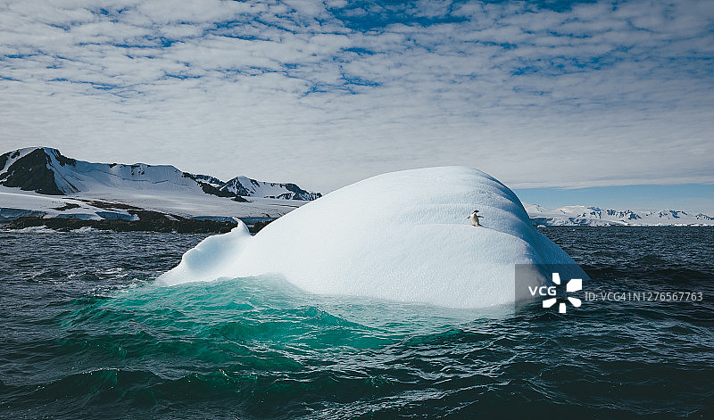 Adélie冰山上的企鹅图片素材