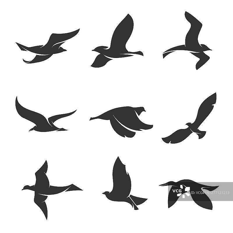 一组鸟的剪影在一个白色的背景上运动。矢量图图片素材