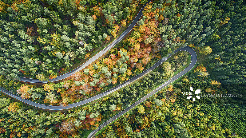 蜿蜒的乡间小路穿过秋天的森林图片素材
