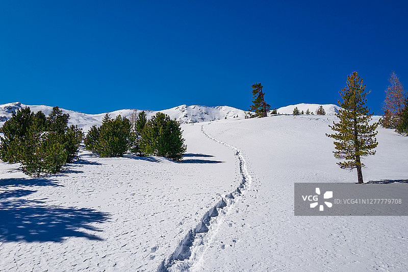 诺卡兰姆冬物——克恩滕州的山在积雪中图片素材