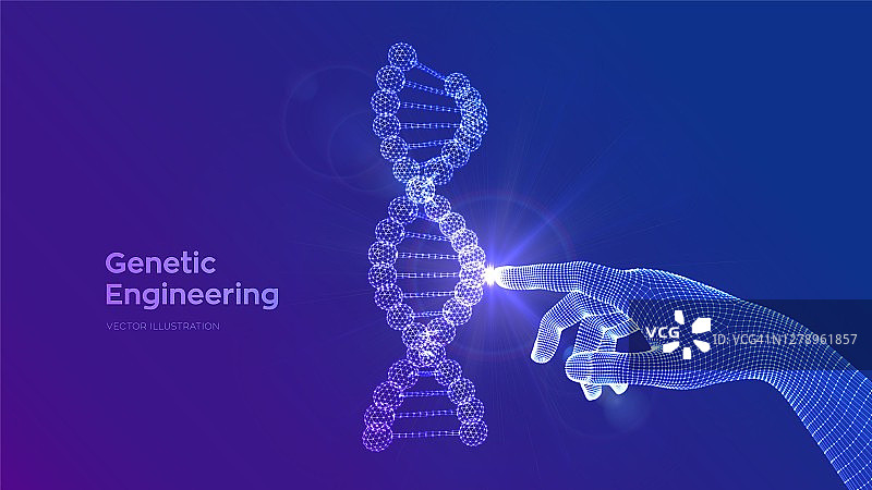 手触摸DNA序列分子结构网。线框DNA代码可编辑模板。基因工程。医学研究。科学技术概念。矢量插图。图片素材