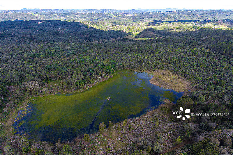 幻绿和胡奖章湖与草在中部附近麦德林，安蒂奥基亚/哥伦比亚图片素材