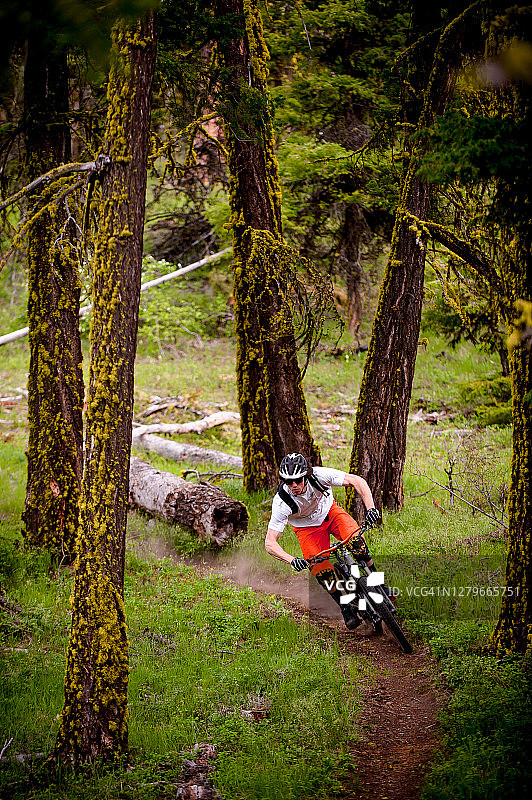 一个山地自行车手在森林中高速骑行的高架视角图片素材
