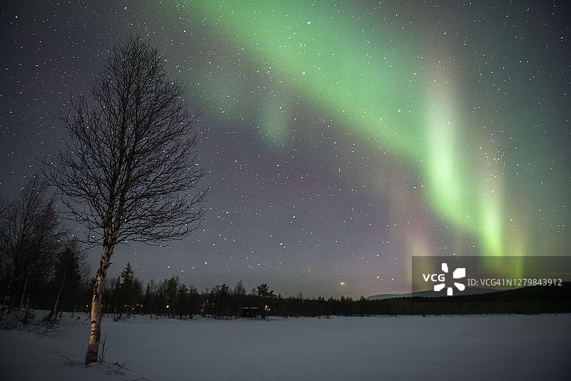 令人惊叹的亮绿色北极光显示，北极光，在森林的树木之上，在美丽的，多彩的夜空，palla - yllastupturi国家公园，拉普兰，芬兰，北极圈图片素材