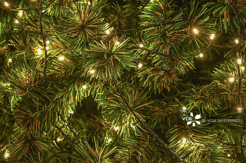 完整的框架拍摄的发光松树装饰圣诞树图片素材