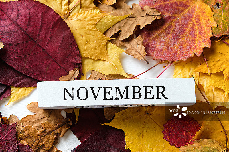 题词十月和十一月的背景是秋天飘落的黄色、橙色、红色和棕色的树叶。图片素材
