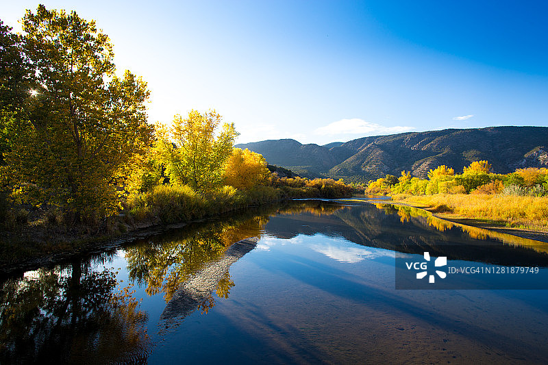 道斯:阳光普照的大河，秋天的棉白杨图片素材