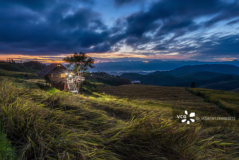 清迈Pong Piang，在收获季节的日落时分，金色梯田中的小屋在昏暗的光线下图片素材