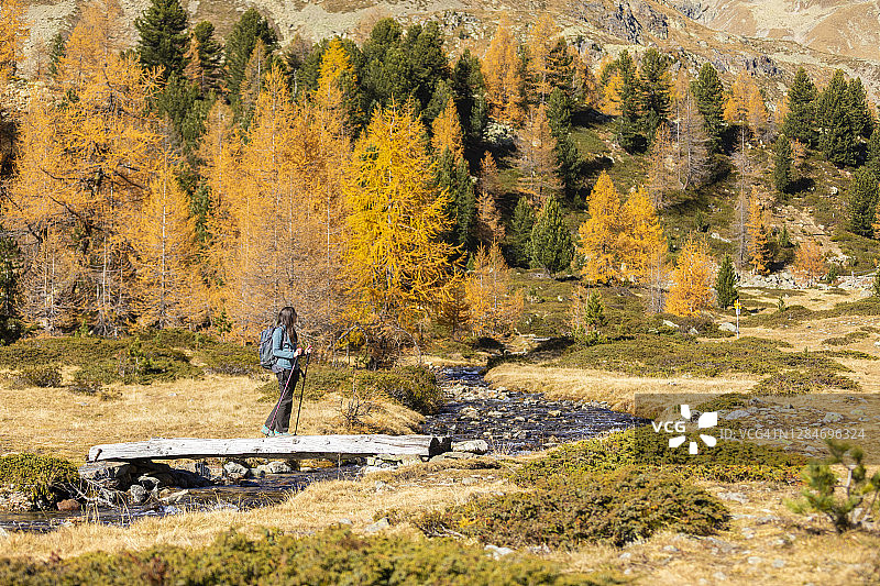 欧洲，瑞士，格劳本登州，波斯基亚沃，val di Campo, Murasciola山，年轻女子正穿过一座被秋日美景包围的木桥图片素材