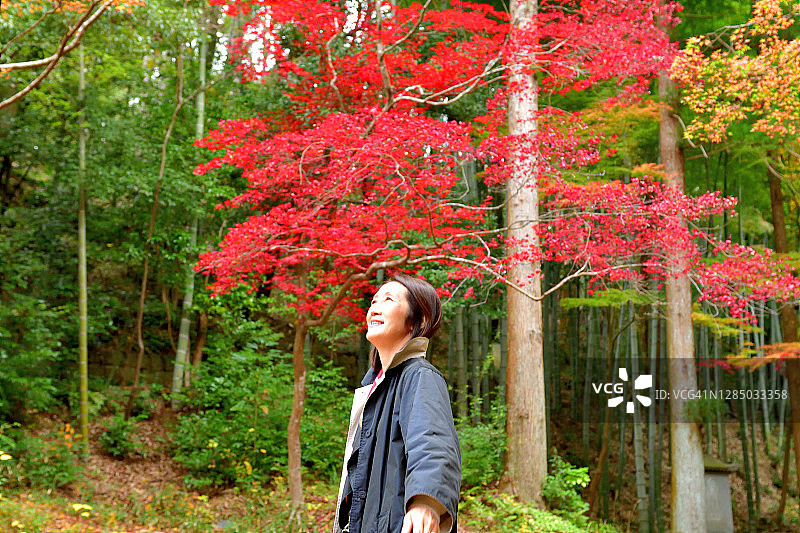 日本女人欣赏京都秋叶的颜色图片素材