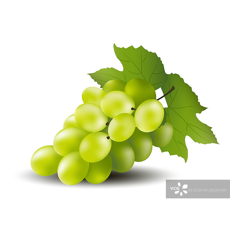 绿葡萄上白背景矢量设计EPS10。图片素材