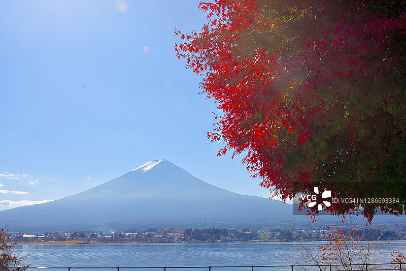 富士山和富士山五湖的秋叶颜色:川口湖图片素材