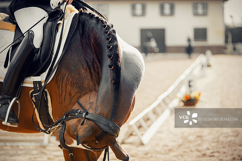 脖子上的马尾运动棕色马。马镫骑在马上时马镫上骑手的腿图片素材