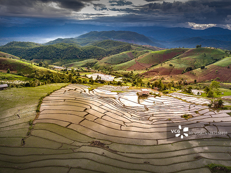 东南亚的稻田农业，泰国的梯田稻田图片素材
