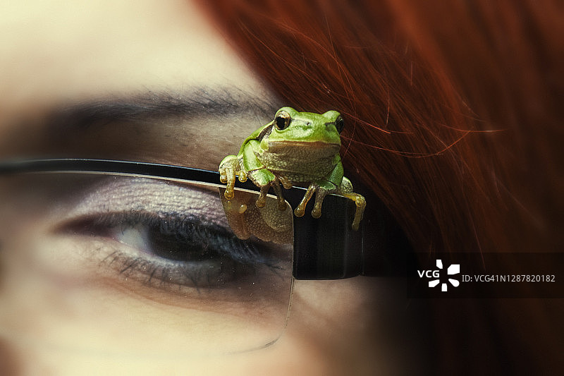 一个小青蛙坐在女人眼镜上的特写图片素材