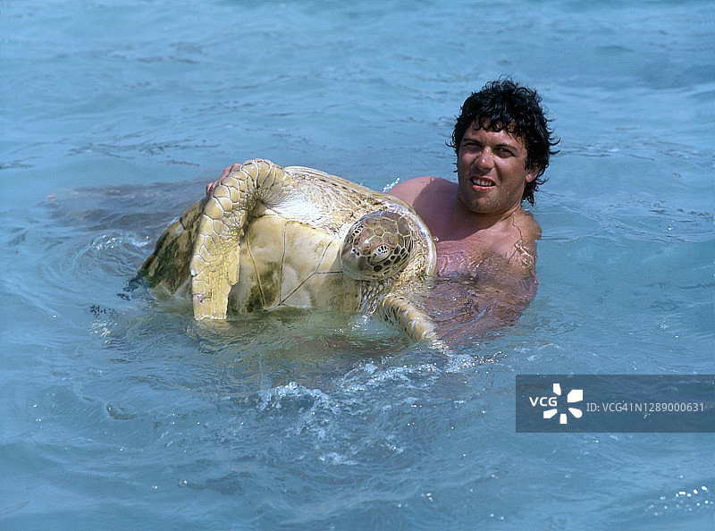 绿色海龟，墨西哥，1978年图片素材