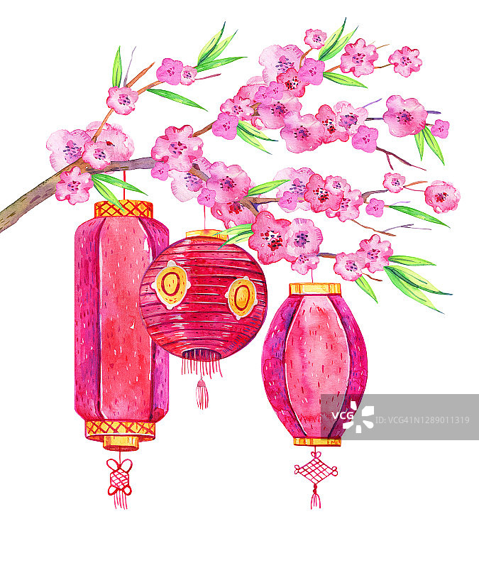 传统的中国纸灯笼挂在鲜花的树枝上。手绘水彩素描插图图片素材