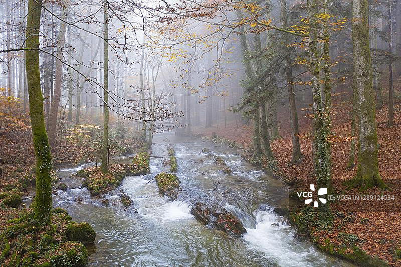 Zellerache在晨雾中流过秋天的森林，Helenental，无人机照片，鸟瞰图，Mondsee, Mondseeland, Salzkammergut，上奥地利，奥地利图片素材