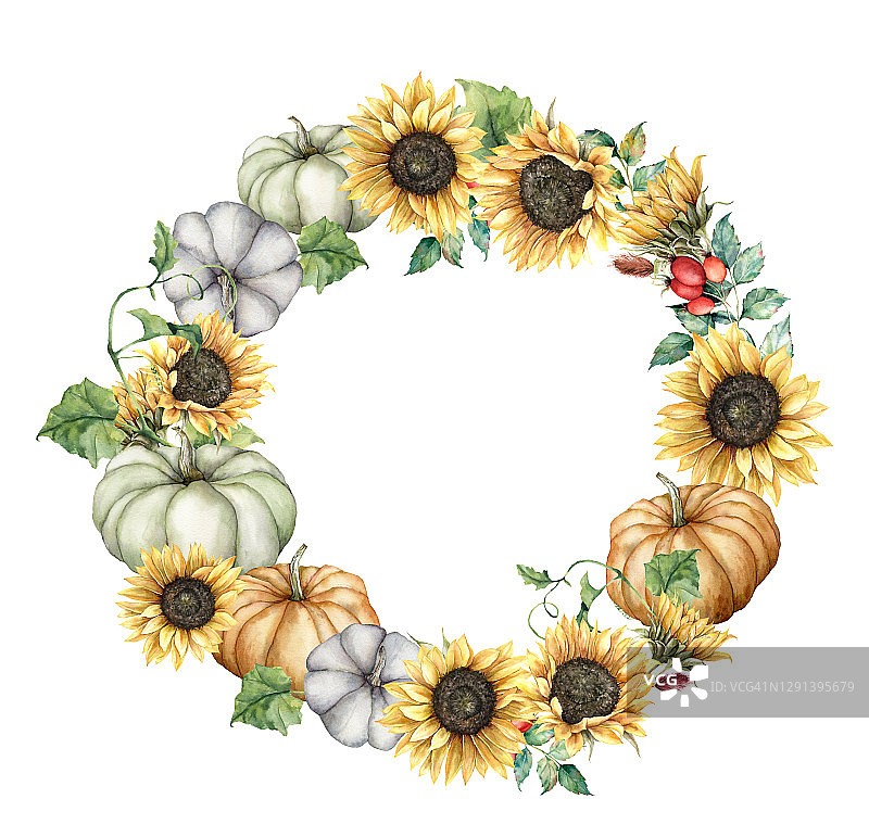 水彩秋天圆形框架与向日葵，南瓜，浆果和树叶。手绘边界与葫芦孤立在白色的背景。花卉插图设计，印刷，织物或背景。图片素材
