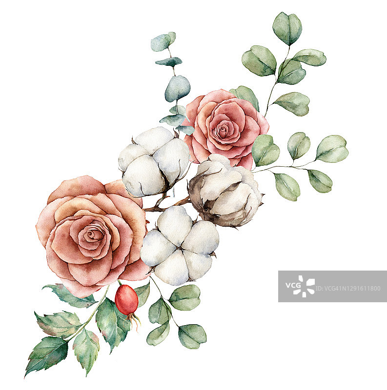 水彩秋天花束与棉花，玫瑰，狗和桉树枝。手绘乡村卡孤立在白色背景。花卉插图设计，印刷，织物或背景。图片素材