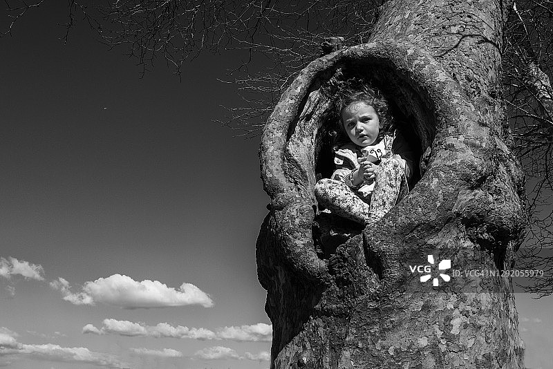 坐在树洞里的女孩，意大利图片素材