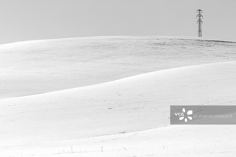 野生动物在雪地上的足迹在滚动的景观与电力塔和电缆图片素材